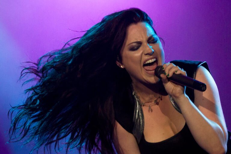 20AÑOSDISCOFALLENEVANESCENCE2