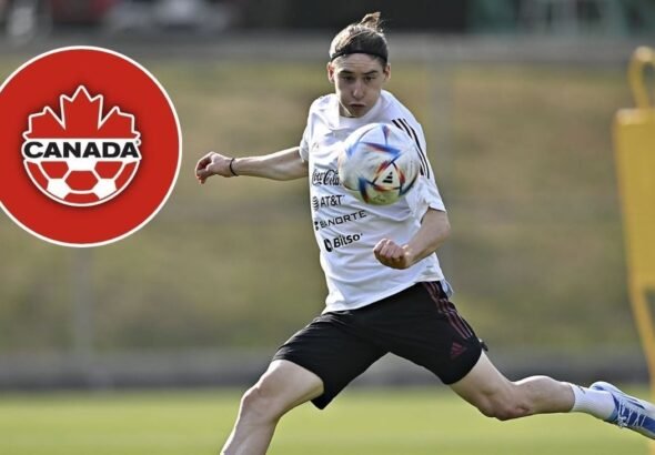 large_marcelo_flores_canada_3c5e656869